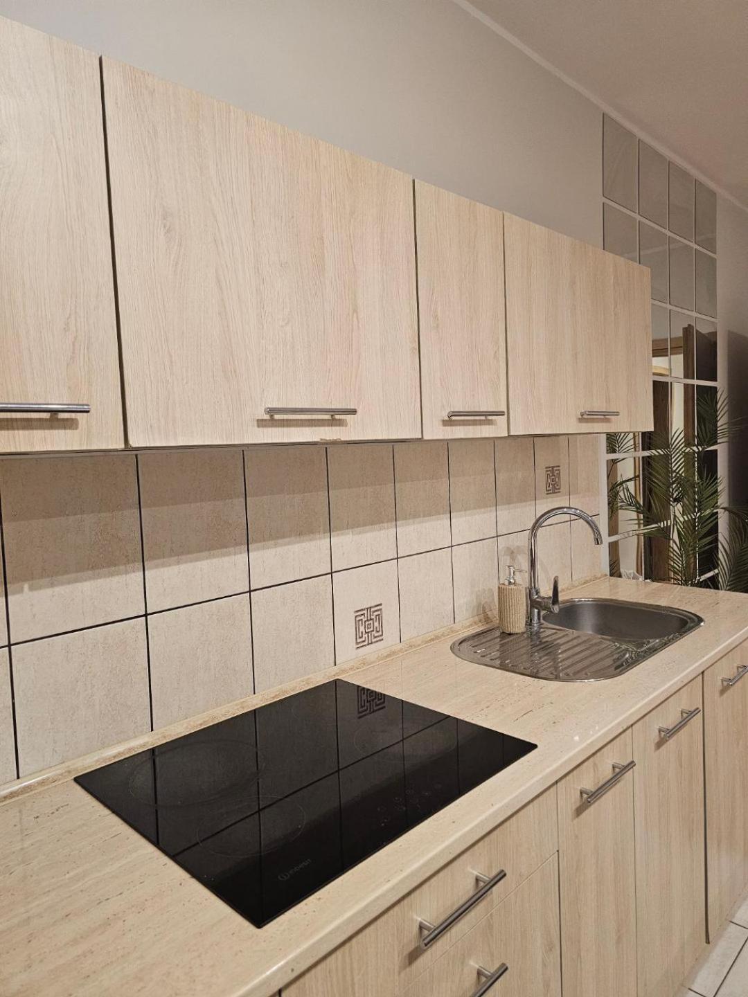 Apartament Rema W Centrum Apartzakop Zakopane Esterno foto